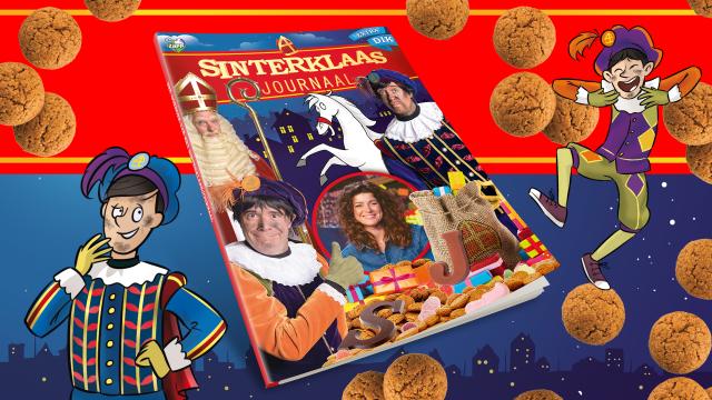 Het Doeboek van het 25ste Sinterklaasjournaal 